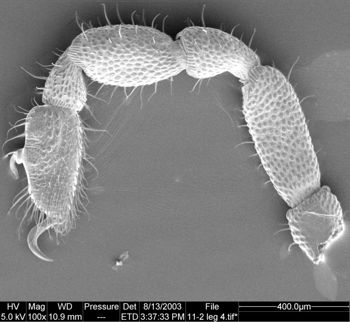 Media type: image;   Invertebrate Zoology 134647